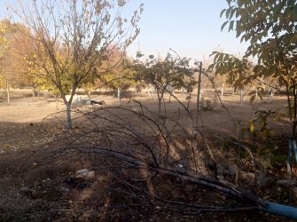 ELAZIĞ MERKEZ PELTE KÖYÜNDE SATILIK BAHÇE