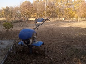 ELAZIĞ MERKEZ PELTE KÖYÜNDE SATILIK BAHÇE