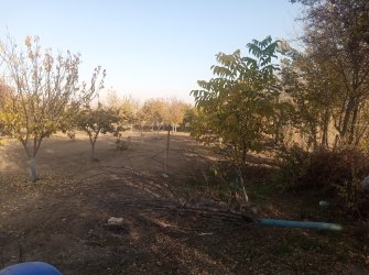 ELAZIĞ MERKEZ PELTE KÖYÜNDE SATILIK BAHÇE