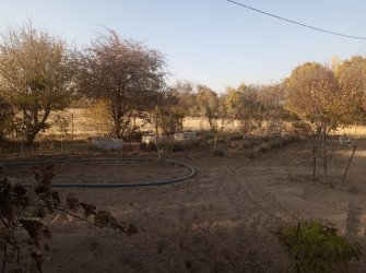 ELAZIĞ MERKEZ PELTE KÖYÜNDE SATILIK BAHÇE