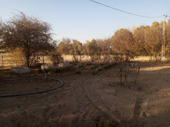 ELAZIĞ MERKEZ PELTE KÖYÜNDE SATILIK BAHÇE