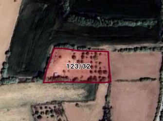 ELAZIĞ MERKEZ PELTE KÖYÜNDE SATILIK BAHÇE