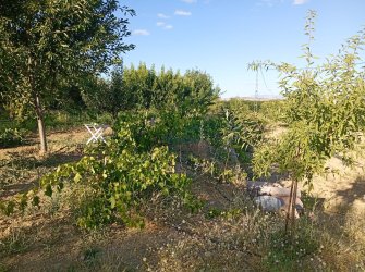 SATILIK YAZLIK BAHÇE 