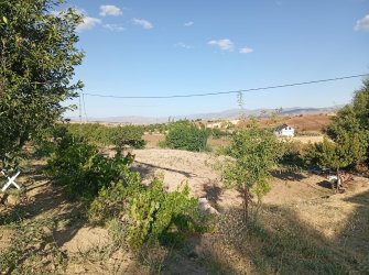 SATILIK YAZLIK BAHÇE 