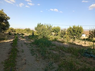 SATILIK YAZLIK BAHÇE 