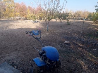 ELAZIĞ MERKEZ PELTE KÖYÜNDE SATILIK BAHÇE